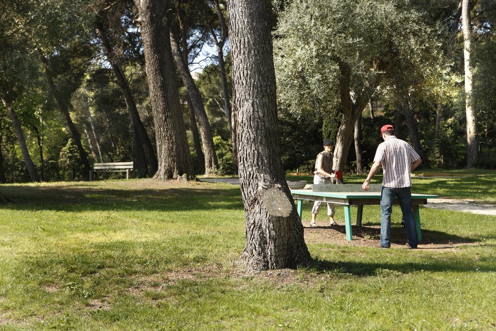 Hotel Club La Font Des Horts Hyères Dış mekan fotoğraf