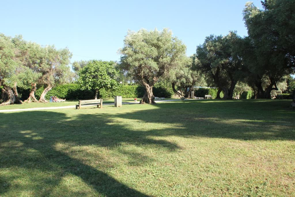 Hotel Club La Font Des Horts Hyères Dış mekan fotoğraf
