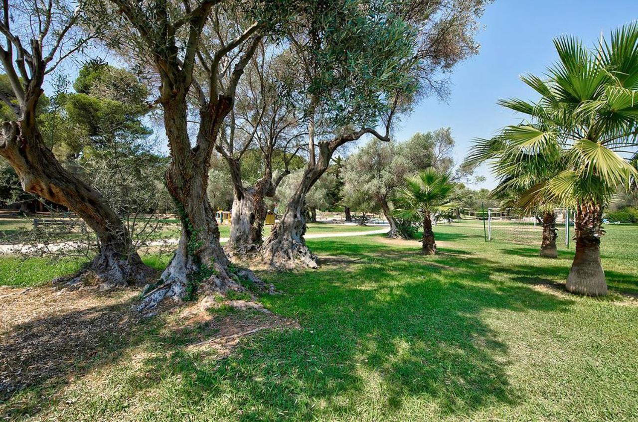 Hotel Club La Font Des Horts Hyères Dış mekan fotoğraf